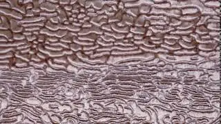 Каракуль Оникс - Tissavel (Франция)