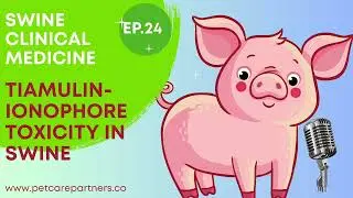 EP 24: Tiamulin-Ionophore Toxicity in Swine | Causes, Clinical Signs & Prevention Explained