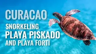 CURACAO Snorkeling Playa Piskado and Play Forti [4K]