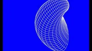 Logarithmic spiral mollusc shells