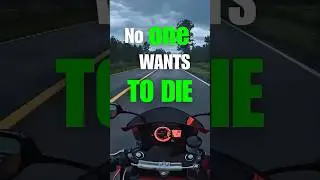 No one wants to die. Even people who want to go to heaven don&rsquo;t want to die to get there.