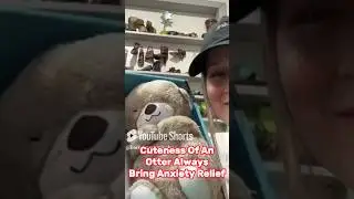 I bought an anxiety toy : Breathing otter plush for sleep and relaxation | Barkermeow