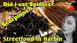 STREETFOOD IN HARBIN, SCORPIONS, SPIDERS ETC. | SUN ISLAND | TRAVEL VLOG