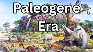 The Story of Paleogene Era | Story Time with Philip