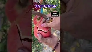 Top Notch Technique to Cut Pomegranate or Anar #shorts #tricks #tips #ideas #hacks #viral #ytshorts