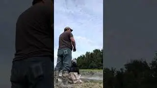 2025 Fish Creek dip net highlights#fish #fishing #fishinglife #outdoors #nature #travel #family 