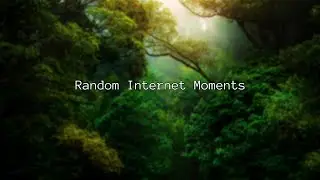 Random Internet Moments