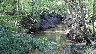 Hunting Paradise!  Cook Road, Cedar Grove Tennessee