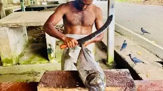රතු මස්කට් කෑලි වගේ කැපෙන අලුත්ම පරවු 🔪👌😎  #fishcutting #fastfishcutting #srilanka #fishing #fyp 
