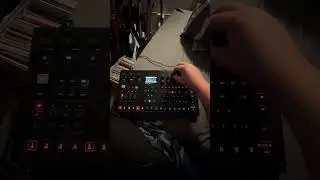 Elektron Analog 4 - Saturday Night Synthwave