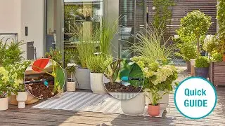 Bew&auml;sserungssystem Terrasse: So einfach installierst Du das GARDENA Micro-Drip-System