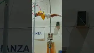 Maltese press to full planche on still rings (D)