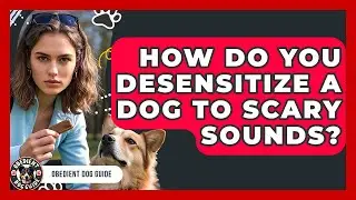 How Do You Desensitize A Dog To Scary Sounds? - Obedient Dog Guide