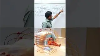 MRI aur CT Scan Mein Kya Farq Hai? | Medical Awareness#MRI&CTscan#medicalshorts#awareness#viralvideo