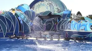 Dolphin Days (Full Show) at SeaWorld San Diego 10/26/16