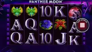 15 Free Spin x3 Multiplayer on Panther Moon Slot from Playtech