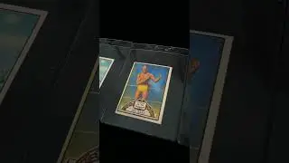 SGC или PSA 👀