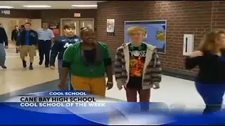 Cane Bay High School receives Cool School award