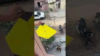 KITE LOOTING 🪁😍 #short #kiteflying #viralvideo #kitelooting #viralvideo #viralshort #ytshorts