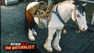 Comprei o NOVO cavalo GYPSY COB - Red Dead ONLINE