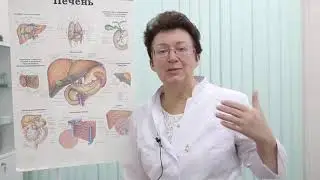 Как сохранить здоровье печени?. [Шишова О.И.]