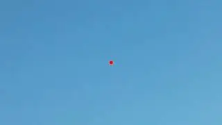 Starling with the tactacam 5.0