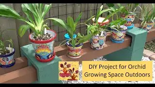 How to Add Orchid Growing Space Outdoors | Create an Orchid Pot Bench & Trellis | DIY Orchid Project