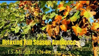 Relaxing Fall Season Ambience For Sleep And Relaxation