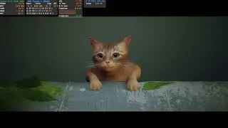 Stray | GTX 1060 6GB | AMD Ryzen 2600X | 16GB DDR4 2666 MHz | 1080p Max settings