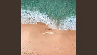Waveforms