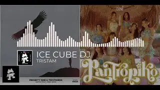[Priority One/TwoThirds/Jonny Rose &times; BINI] - Hunted x Pantropiko (Dance Pop Mashup)