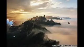 bestkorea