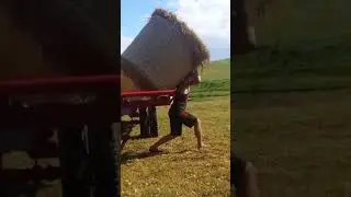 Guy Lifts Massive Bail of Hay