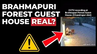 Гостевой дом Brahmapuri Forest: реальность или подделка? Видео с объяснением нападения тигра на ИИ!