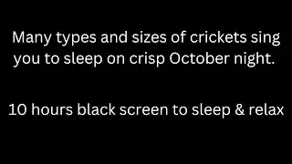 Crickets of many sizes sing on October night, cricket sounds 10 hours black screen to sleep & relax