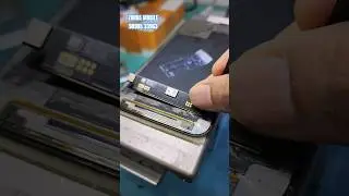 iPhone 13 pro max Flex Change. low cost screen repair technology. #Short