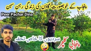 Gaon ki zindagi aur malta ky baghat|Pakistani village life|Gaon ki Subah|Punjab village life 2025