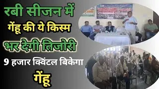 रबी सीजन में गेहूं की ये किस्म उगाई तो भर देगी किसान की तिजोरी,9 हजार रुपए प्रति क्विंटल भाव
