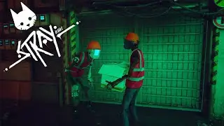 А ЧТО ЭТО У ТЕБЯ ТАМ?! NECO?!?! (╭ರ_•́)   𓊈ฅᨐฅ𓊉 - ᵉᵒʷ ✦ STRAY #11
