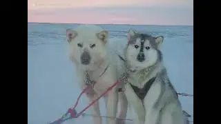 The Great Escape Into a Blizzard