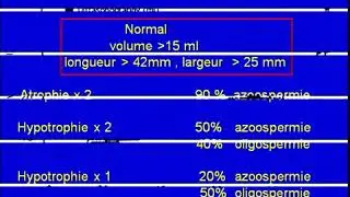 ECHO DOPPLER BOURSES