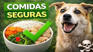 Muchos se equivocan: 6 comidas seguras para perros!