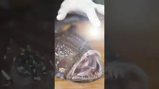 How to Cook a Monkfish