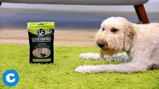 Vital Essentials Dog Food, Treats & Toppers