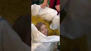 Несколько секунд в кадре=большая и кропотливая работа огромной команды(