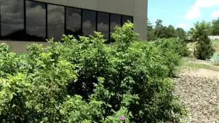 Water Harvesting at the Water-Wise Garden in Rio Rancho NM