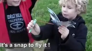 BIONIC BIRD : AVITRON KIDZ