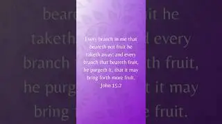 Bear Fruit | John 15:2