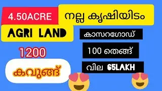 കാസറഗോഡ് 4.50acre കൃഷിത്തോട്ടം / kasaragod agricultural land 4.50acre