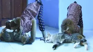 This Cross Species Family Cuddle Session Will MELT Your Heart